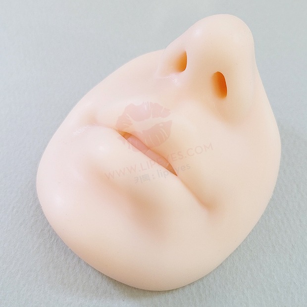 3D입체 입술 고급형 실리콘연습판